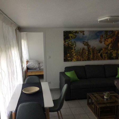 Gemuetliche, Ruhig Gelegene Wohnung In Cochem Dış mekan fotoğraf