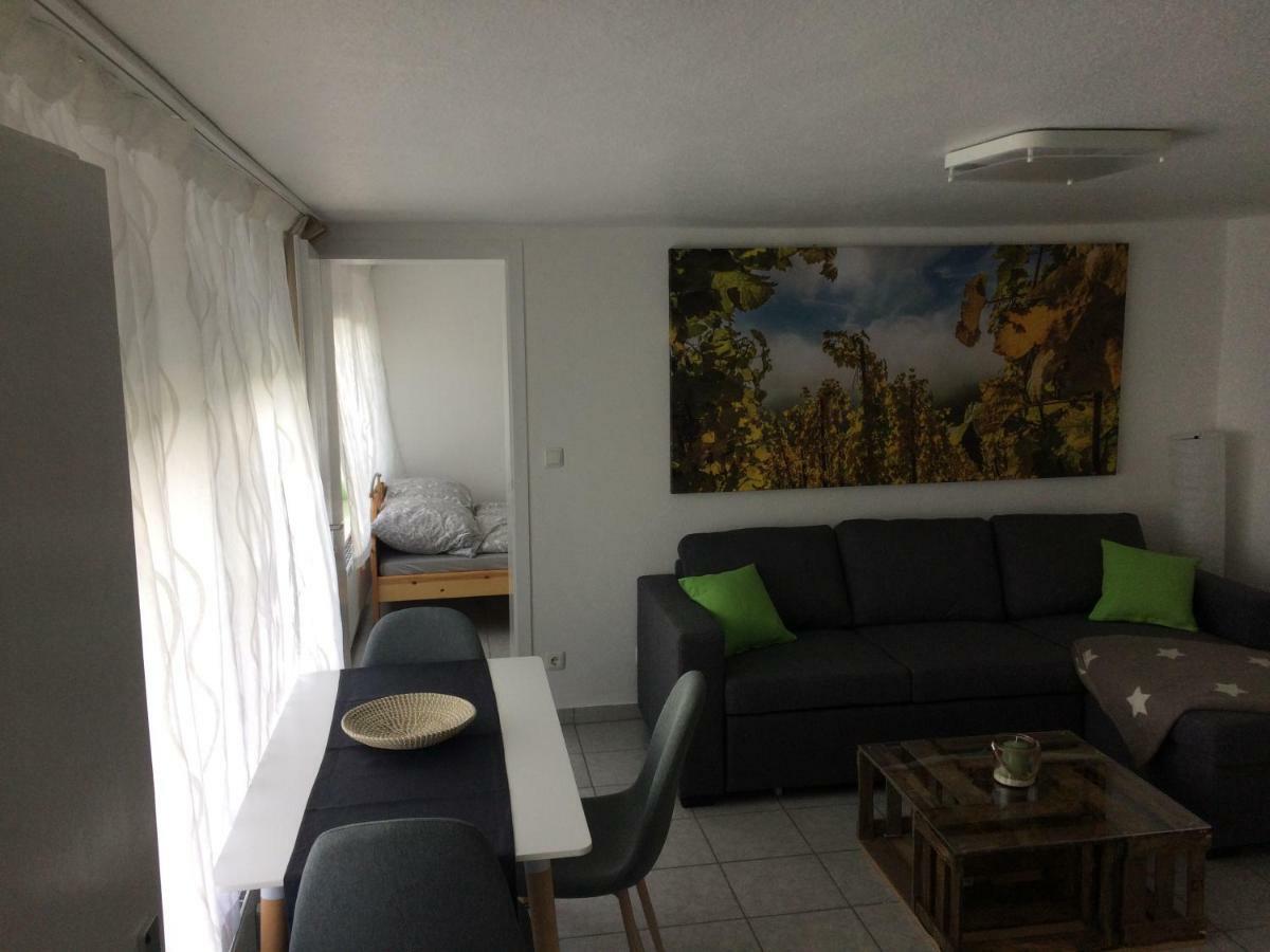 Gemuetliche, Ruhig Gelegene Wohnung In Cochem Dış mekan fotoğraf